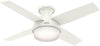 Hunter Dempsey Indoor Low Profile Ceiling Fan with LED