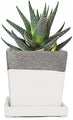 3 Piece Set White Square Succulent Cactus Planter Pot