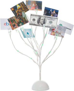 Money Tree Gift Card Holder