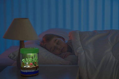 Light-up Terrarium Kit for Kids with LED