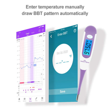 Digital Basal Thermometer with Large Backlight