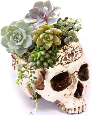 Resin Skull Planter Flower Succulents Pot Carved Skeleton