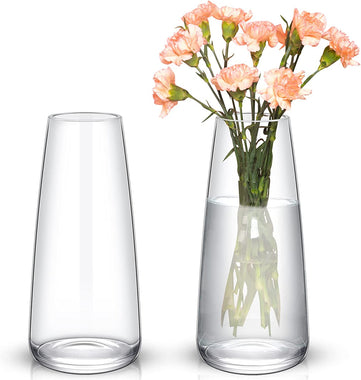 2 Pcs Glass Vase for Decor Modern Large Flower
