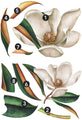 Vintage Magnolia XL Giant Peel and Stick Wall Decals