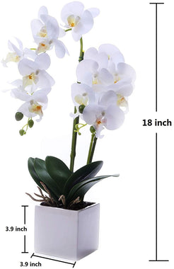 GXLMII Artificial Flower Bonsai with Vase, Large Vivid Orchid Plant Arrangement Phalaenopsis