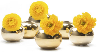 Chive - Set of 6 JoJo Ceramic Flower Vase
