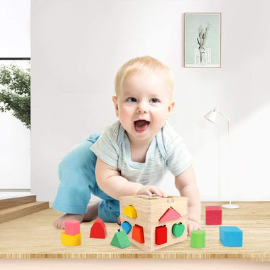 Wood Shape Sorter Cube Toys with 13 Colorful Wooden