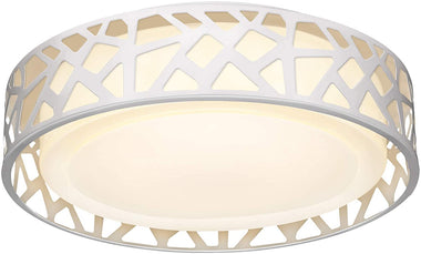 LED Flush Mount Ceiling Light, VICNIE 14 Inch Dimmable Round Lighting Fixture