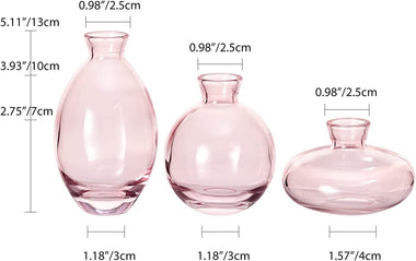 Glass vases Set of 3 Decorative Small vases