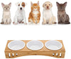 Petacc Elevated Dog Cat Bowls Raised Pet Bowls for Cats and Dogs