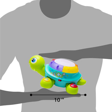 Musical Turtle Toy, English & Spanish Learning