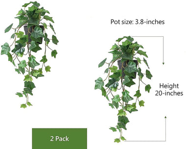 Hejdeco Ivy Hanging Potted Plants