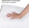 2 Pack with 100% Soft and Breathable Cotton Cover Neck Pillows