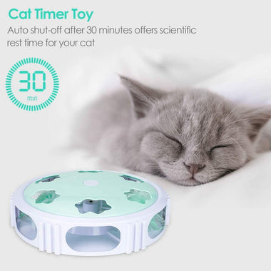 DELOMO Interactive Cat Toy, Automatic Teaser Cat Toy
