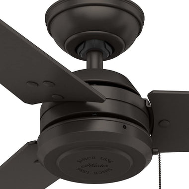 HUNTER 59261 Cassius  Ceiling Fan with Pull Chain Control