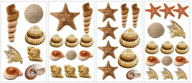 Sea Shells Peel