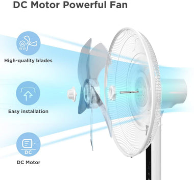 DC Motor Ultra Quiet Pedestal Fan