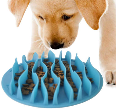 Machao Dog Bowl Slow Feed Bowl for Pet Small Medium Dog Puppy