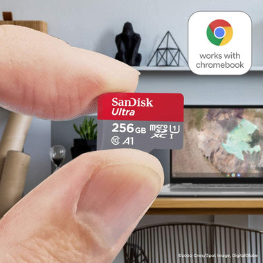 SanDisk 256GB Ultra microSD UHS-I Card for Chromebooks