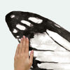 Watercolor Butterfly XL Giant Peel