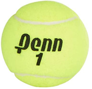 Penn Championship Tennis Balls