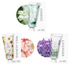 Hand Lotion Set - Pack of 6 Hand Cream Enriched with Shea Butter