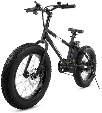 E-Bike 350W Motor, Power Assist, 4” Tires, 20” Wheels, Removable 36V Lithium Ion Battery