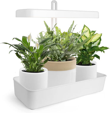 GrowLED LED Indoor Garden Height Adjustable 20W Grow Light