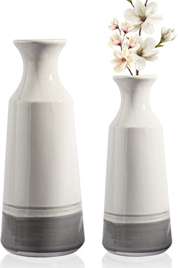 Ceramic Modern Vase for Decor