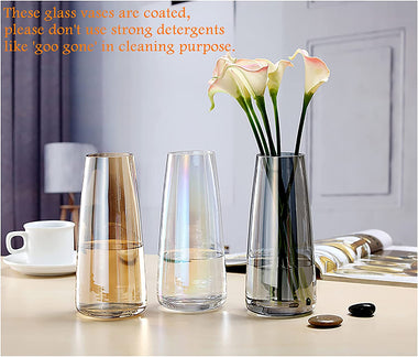 Ins Modern Glass Vase Decor