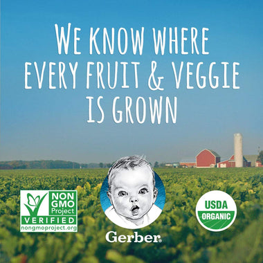 Gerber Organic Fruit & Veggie Variety Pack Pureed Baby Food
