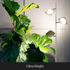 Brightech Tree Spotlight LED Floor Lamp