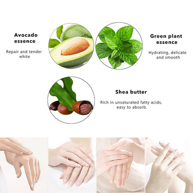 10 Pack Plant Fragrance Hand Cream Moisturizing Hand Care
