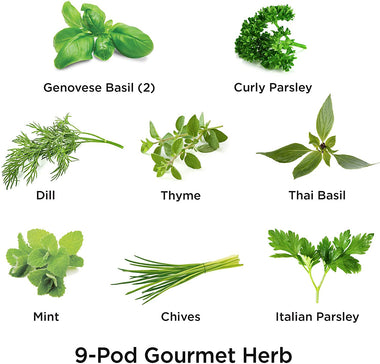 AeroGarden Gourmet Herb Seed Pod Kit (9-pod)