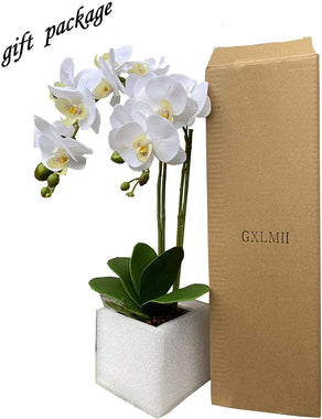 GXLMII Artificial Flower Bonsai with Vase, Large Vivid Orchid Plant Arrangement Phalaenopsis