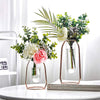 2 Pcs(S+L) Flower Vases with Iron Art Frame