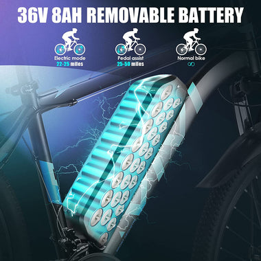 Electric Mountain Bike 350W/500W, 22MPH with 48V 10.4AH Removable Lithium-ion Battery