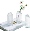 Glass Vases for Decor Set of 3