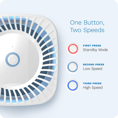 hOmeLabs 4-in-1 Compact Air Purifier - Quietly Ionizes and Purifies Air