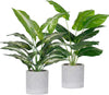 Der Rose 2pcs 16" Small Fake Plants Artificial Potted Plants