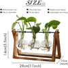 Terrarium with Wooden Stand Air Planter Bulb Glass Vase