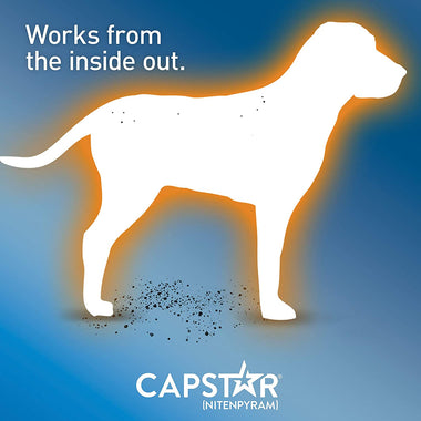 Capstar Fast-Acting Oral Flea Treatment for Dogs