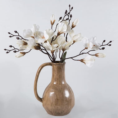 Big Handle Flower Vases for Decor