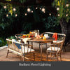 Brightech 26 Ft Patio Lights with 1W Edison Bulbs