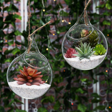 Set of 2 Decorative Clear Glass Globe  Plant