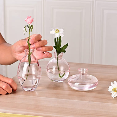 Glass vases Set of 3 Decorative Small vases