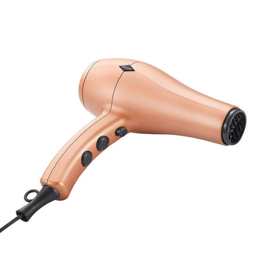 NITION Negative Ions Ceramic Hair Dryer with Diffuser Attachment