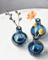 CONVIVA Bud Vase for Gift Decorative Glass