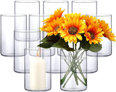 12 Pack Glass Cylinder Clear Flower Vase
