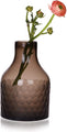 CONVIVA Glass Vase for Flowers